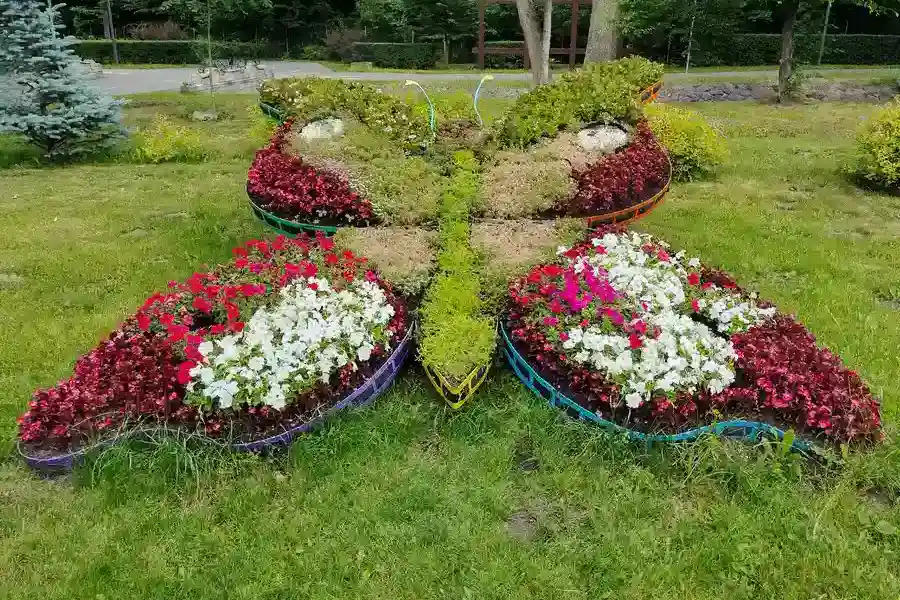 Enhancing Outdoor Living Through Landscape Installation in Smithfield, NC Enhancing Outdoor Living Through Landscape Installation in Smithfield, NC